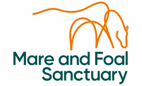 Mare & Foal Sanctuary